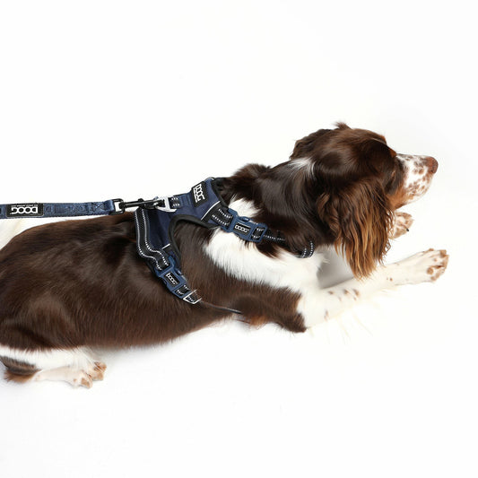 DOOG Neotech Harness