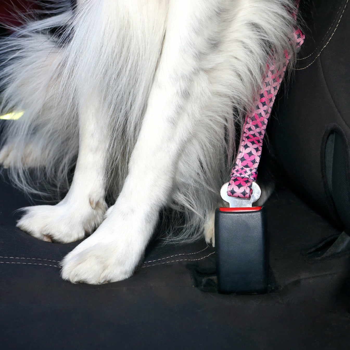 DOOG Car Restraint