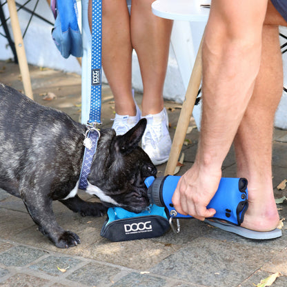 DOOG 3 in 1 Water Bottle/Bowl