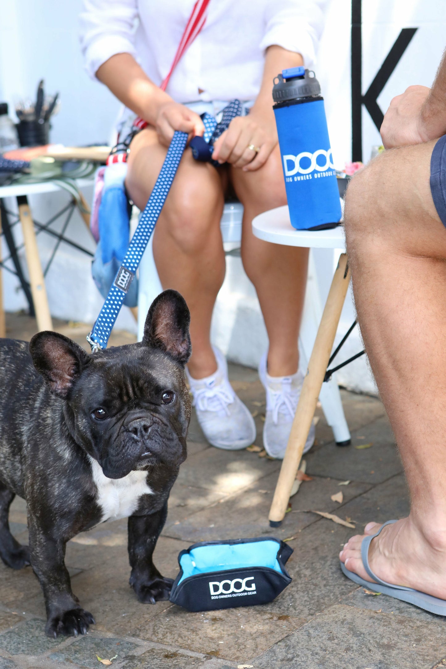 DOOG 3 in 1 Water Bottle/Bowl