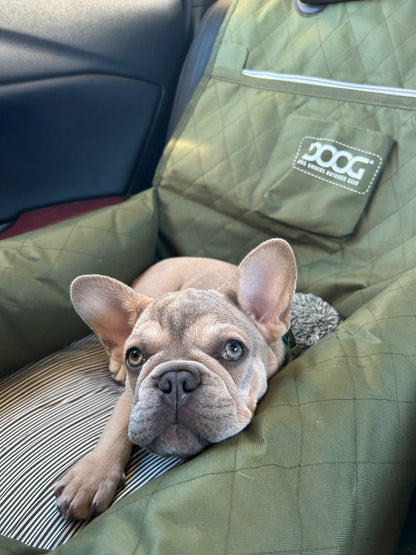DOOG Dog Car Seat - Small to Medium