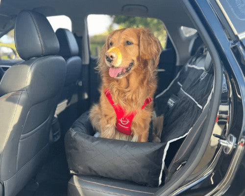 DOOG Dog Car Seat - Large