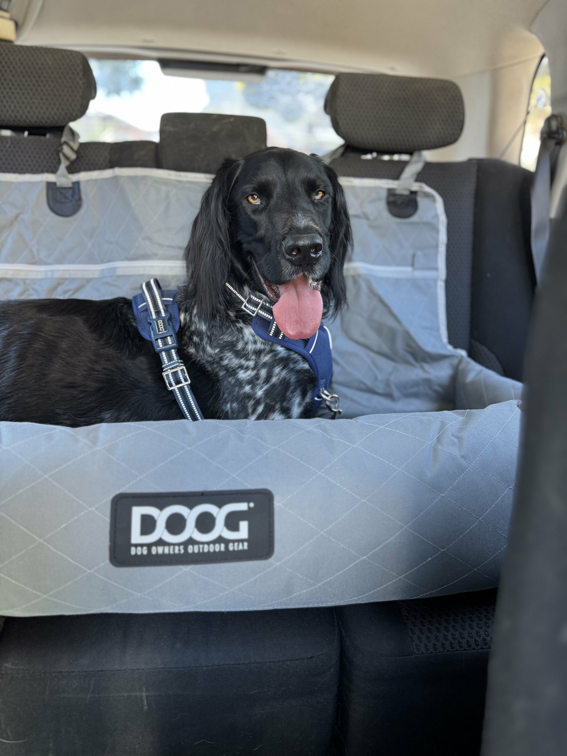 DOOG Dog Car Seat - Large