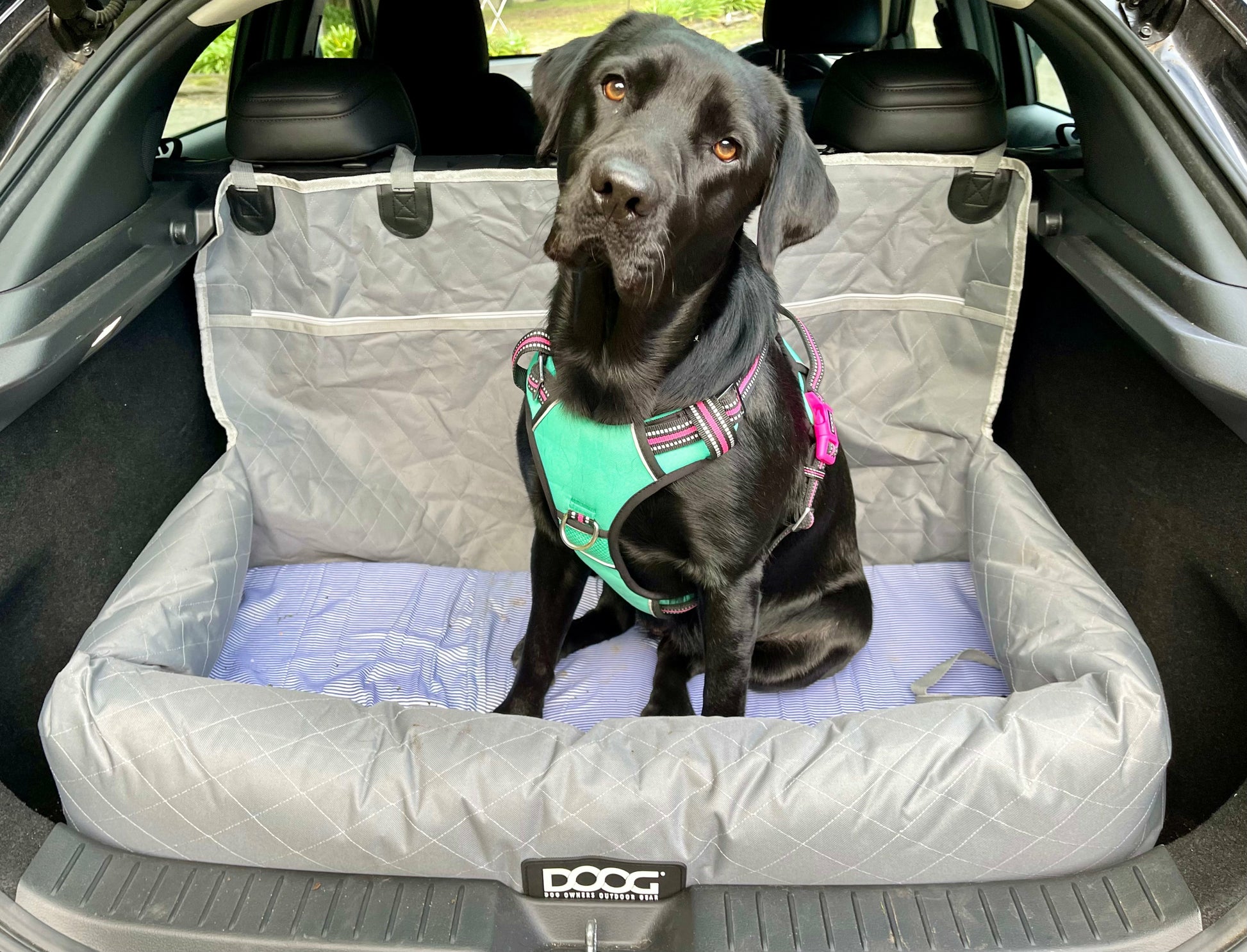 DOOG Dog Car Seat - Large