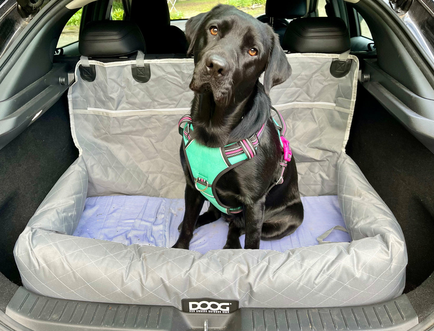 DOOG Dog Car Seat - Large