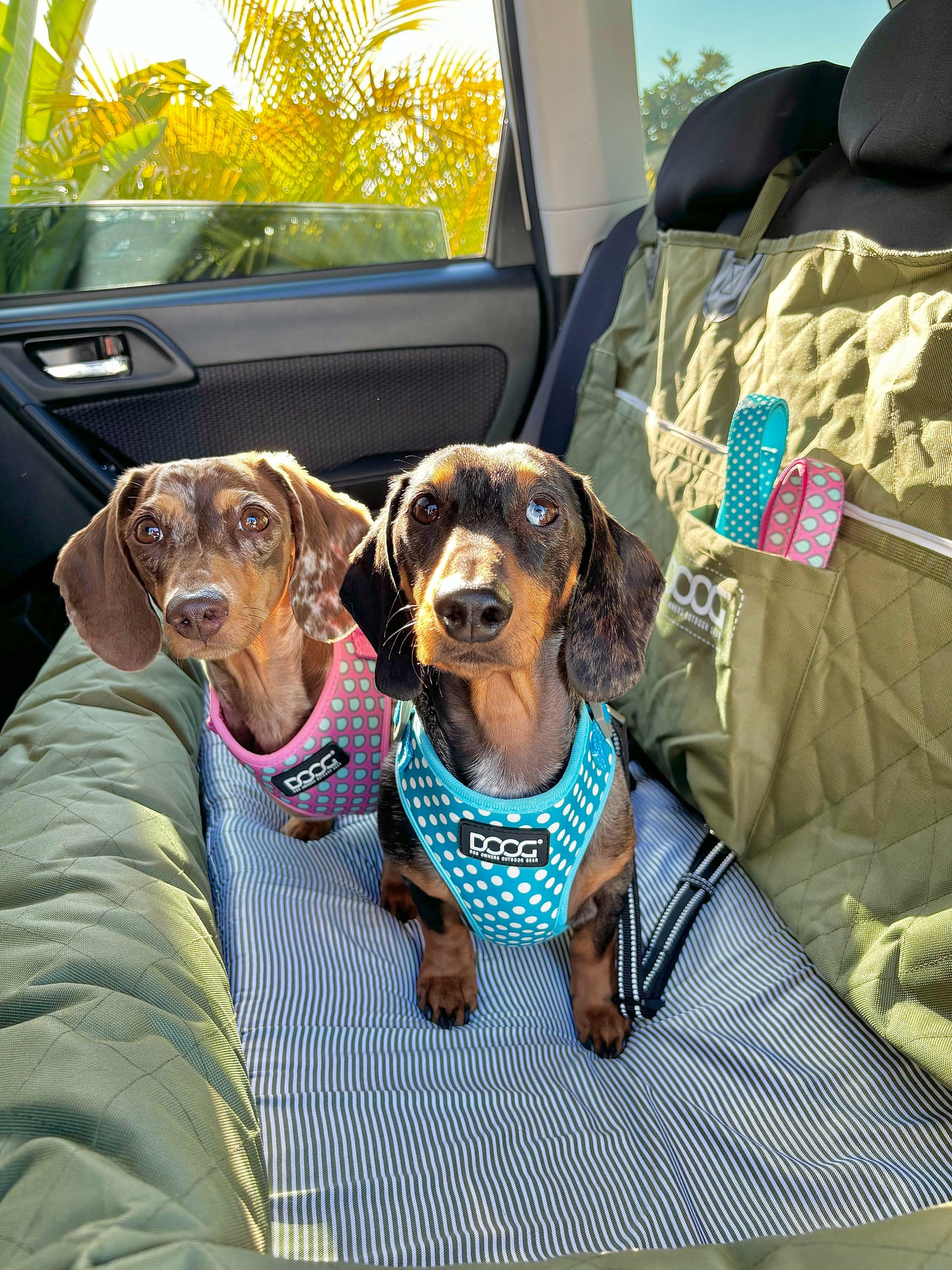 DOOG Dog Car Seat - Large