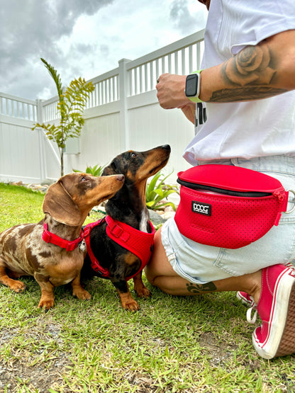 DOOG Neosport Hip Belt