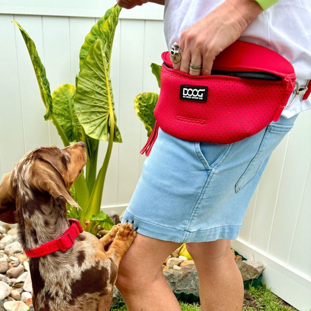 DOOG Neosport Hip Belt