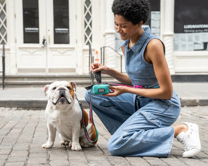 DOOG Walkie Pouch