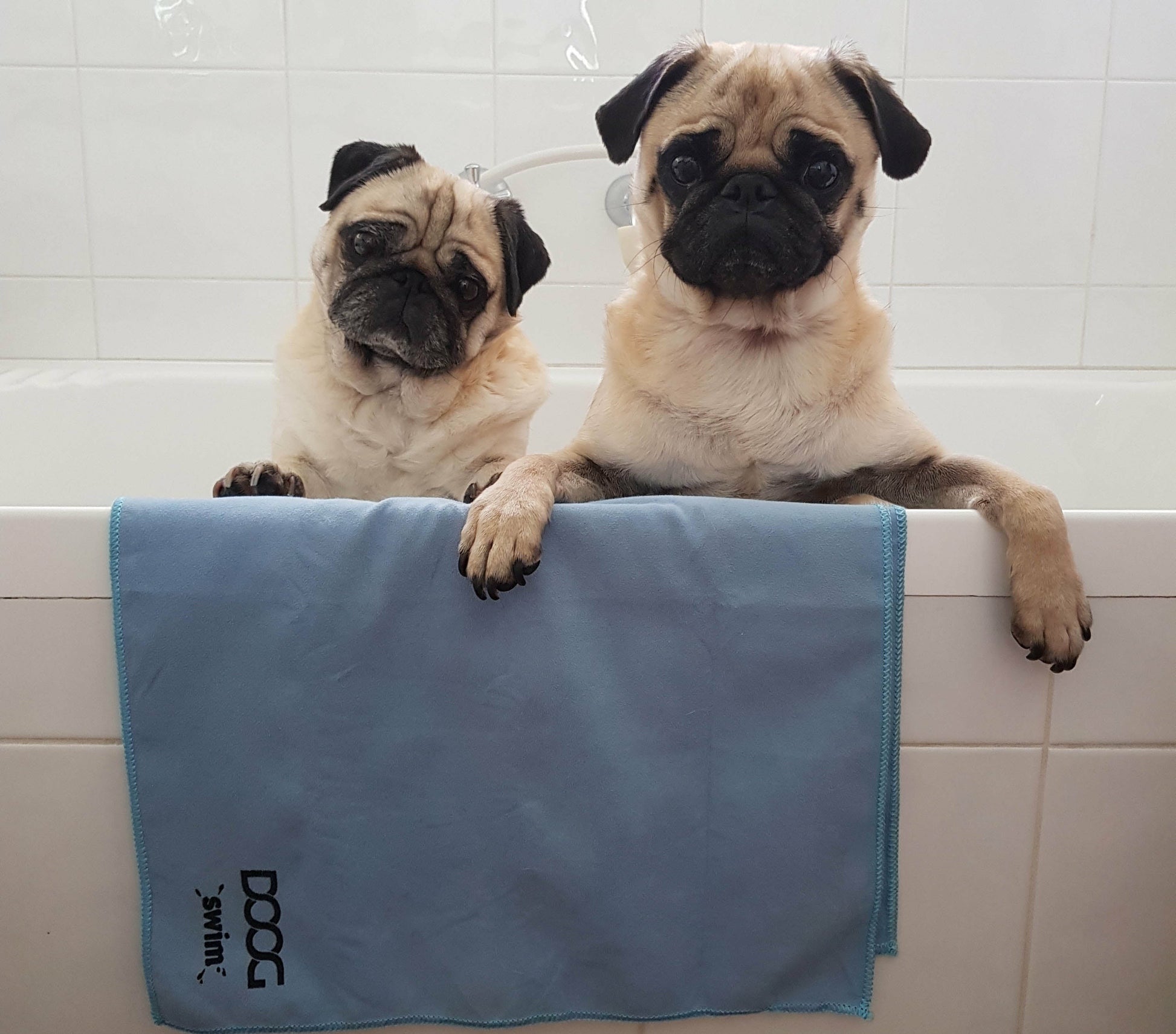 DOOG Dog Towel