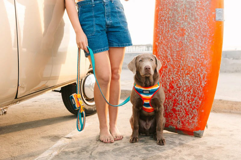 DOOG Walkie Pouch