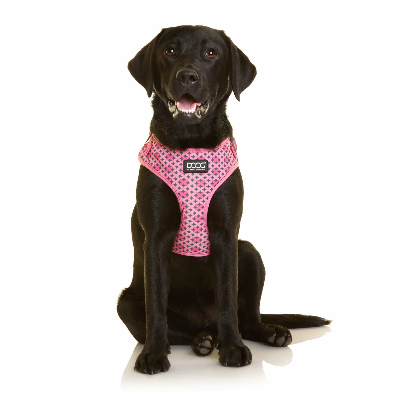 DOOG Neoflex Soft Harness
