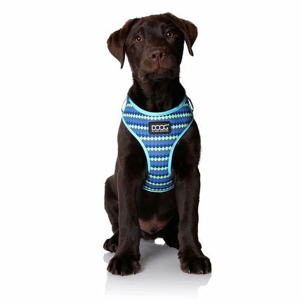 Pluto