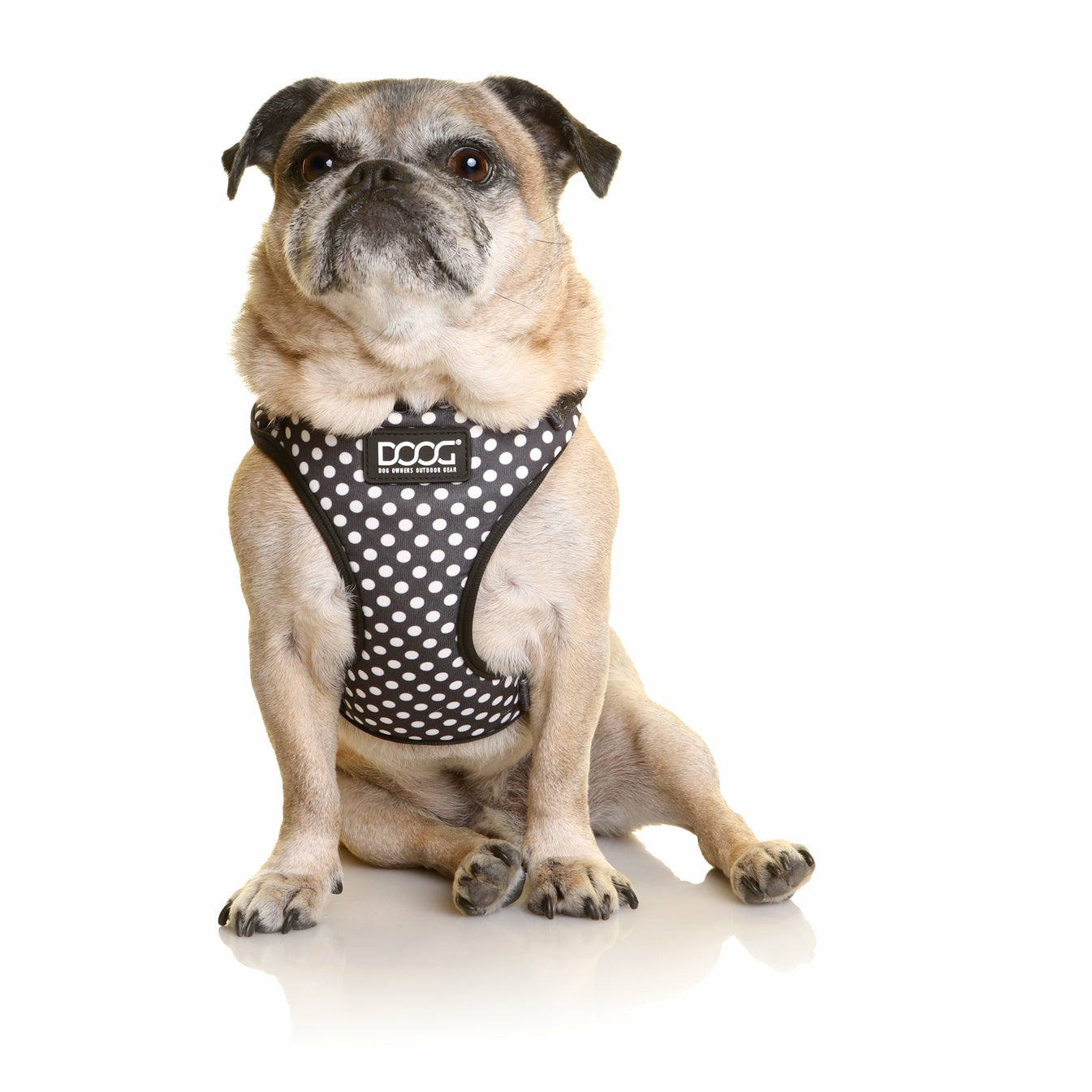 DOOG Neoflex Soft Harness