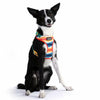 Scout