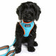 Beethoven