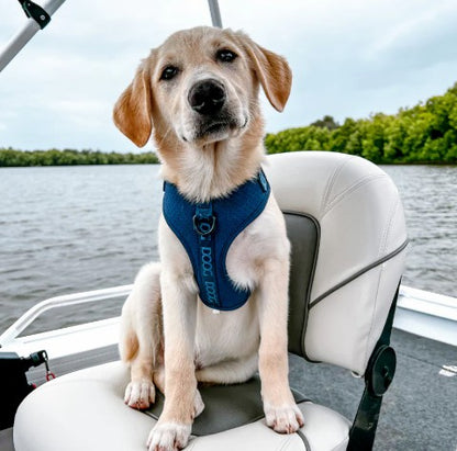 DOOG Neosport Harness