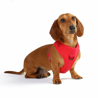DOOG Neosport Harness