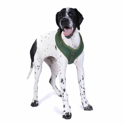 DOOG Neosport Harness