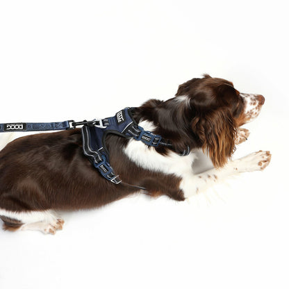 DOOG Neotech Harness