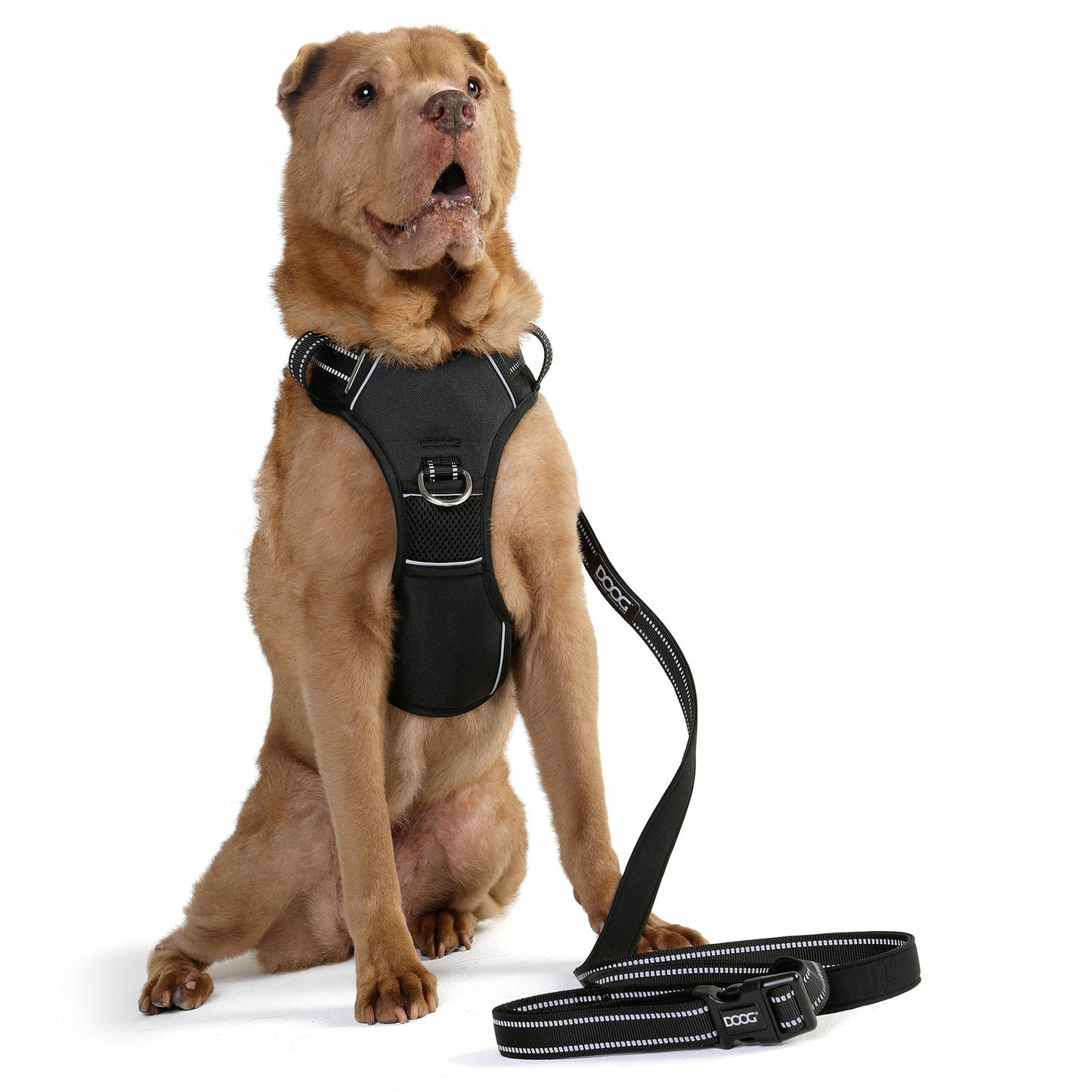 DOOG Neotech Harness