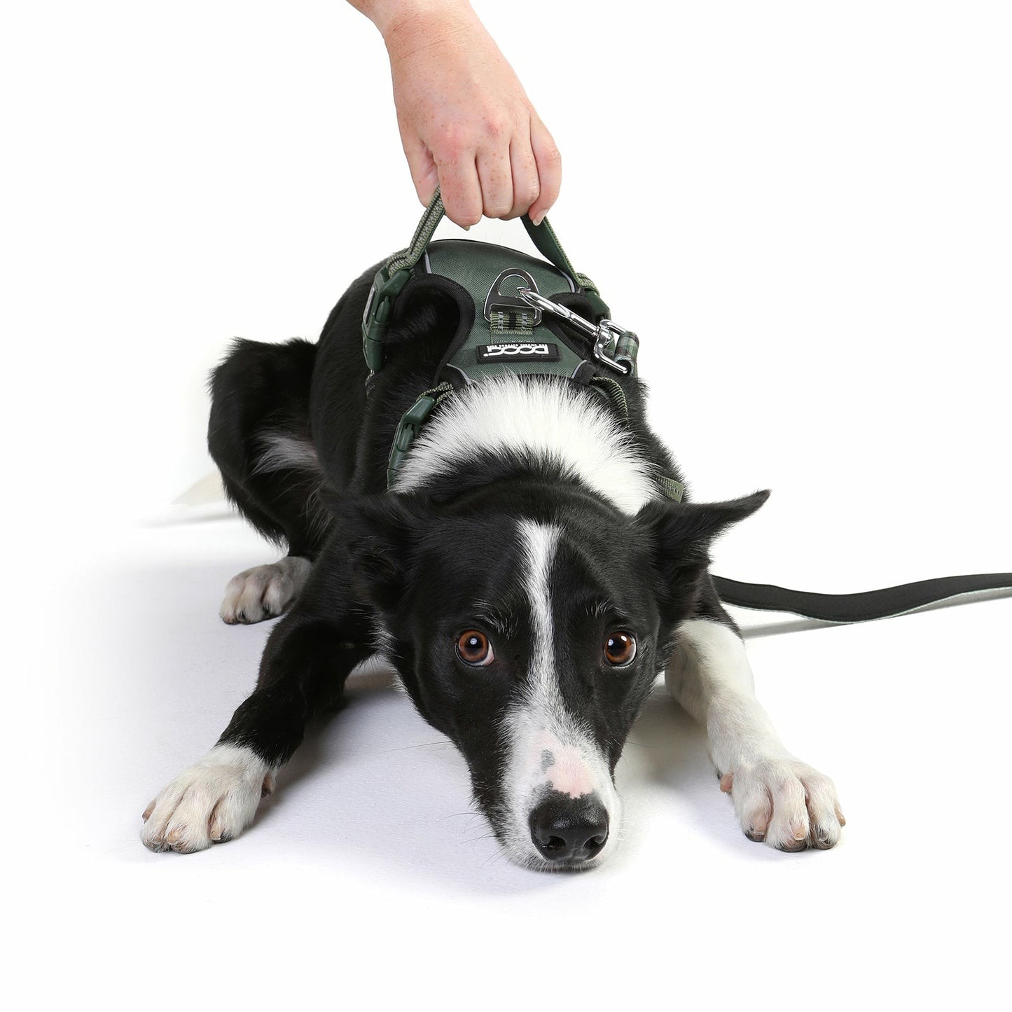DOOG Neotech Harness