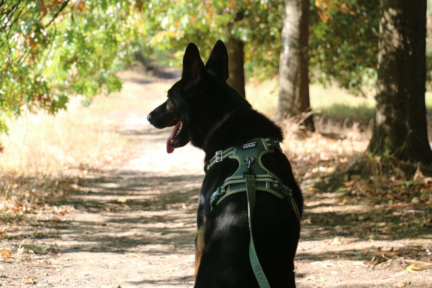 DOOG Neotech Harness