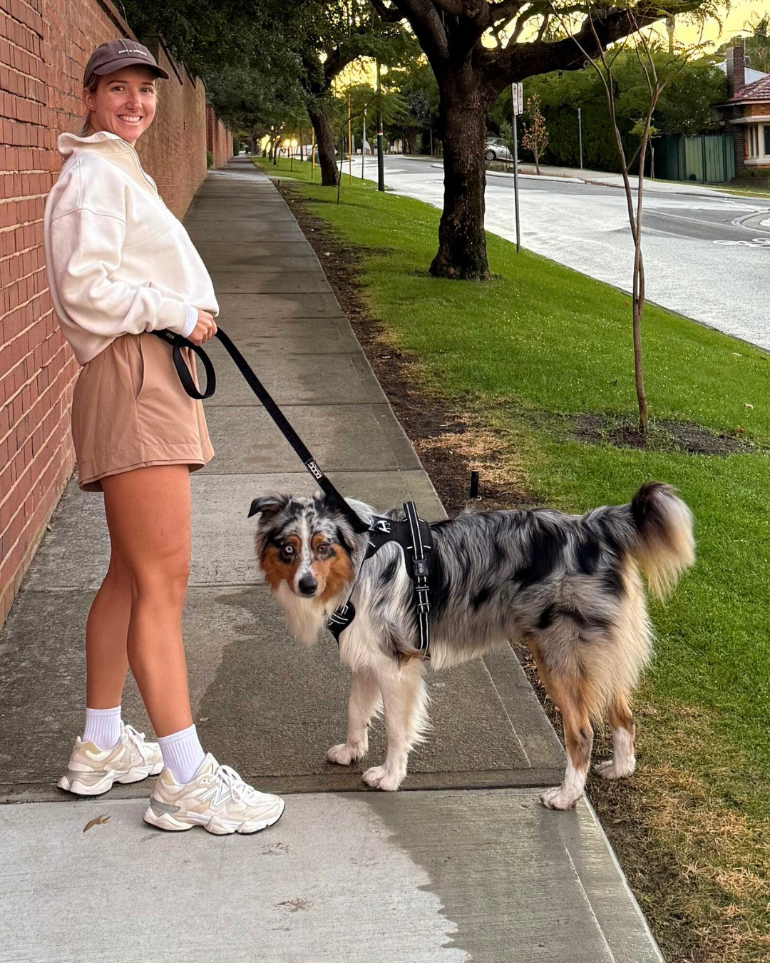 DOOG Neotech Harness