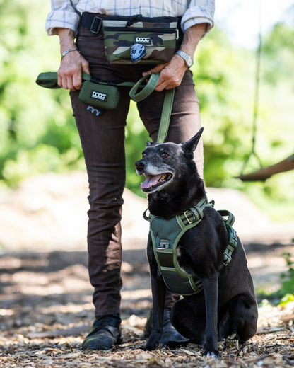 DOOG Neotech Harness