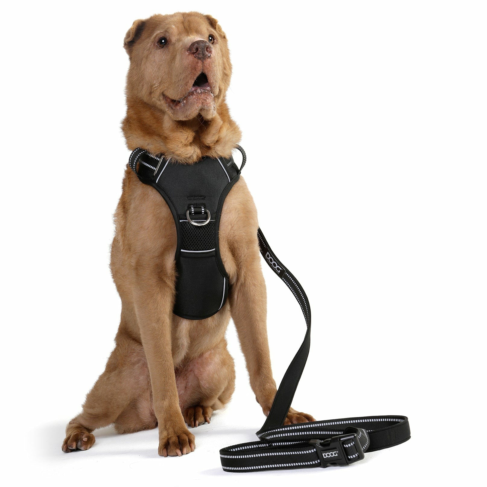 DOOG Neotech Harness