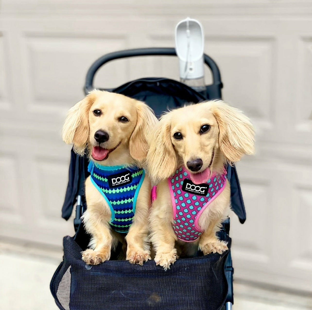 DOOG Neoflex Soft Harness