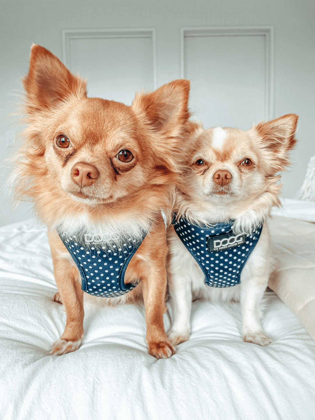 DOOG Neoflex Soft Harness