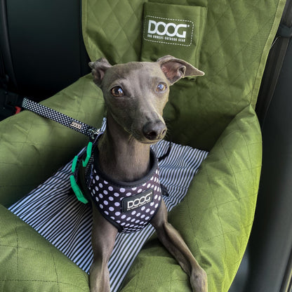 DOOG Neoflex Soft Harness
