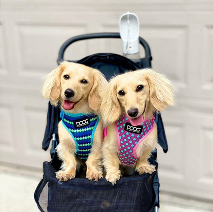 DOOG Neoflex Soft Harness
