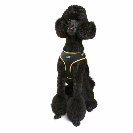 DOOG Neoflex Soft Harness