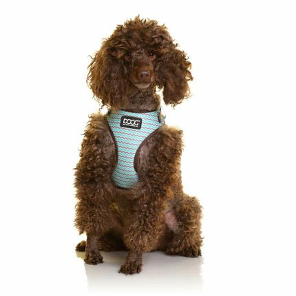 DOOG Neoflex Soft Harness