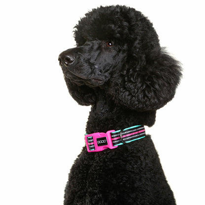 DOOG Neoprene Dog Collar