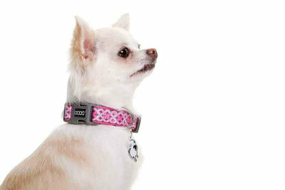 DOOG Neoprene Dog Collar