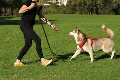 DOOG Dog Training Leash