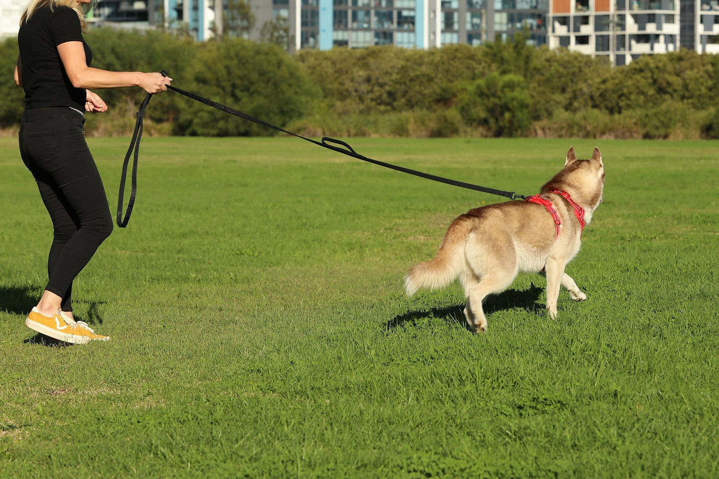 DOOG Dog Training Leash