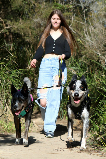 DOOG Dual Walker Lead