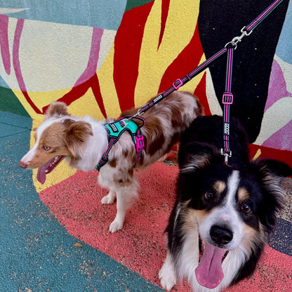 DOOG Dual Walker Lead