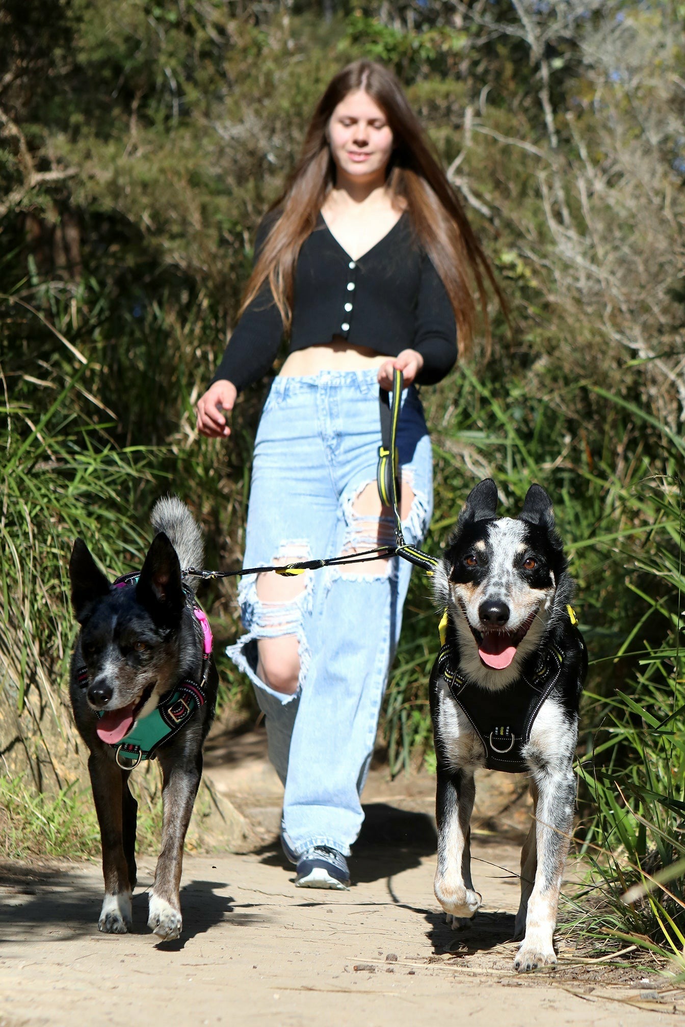 DOOG Dual Walker Lead