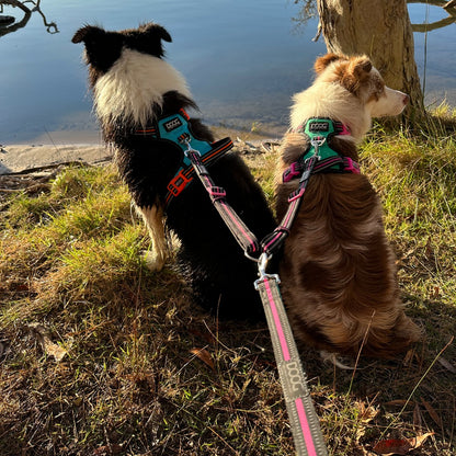 DOOG Dual Walker Lead