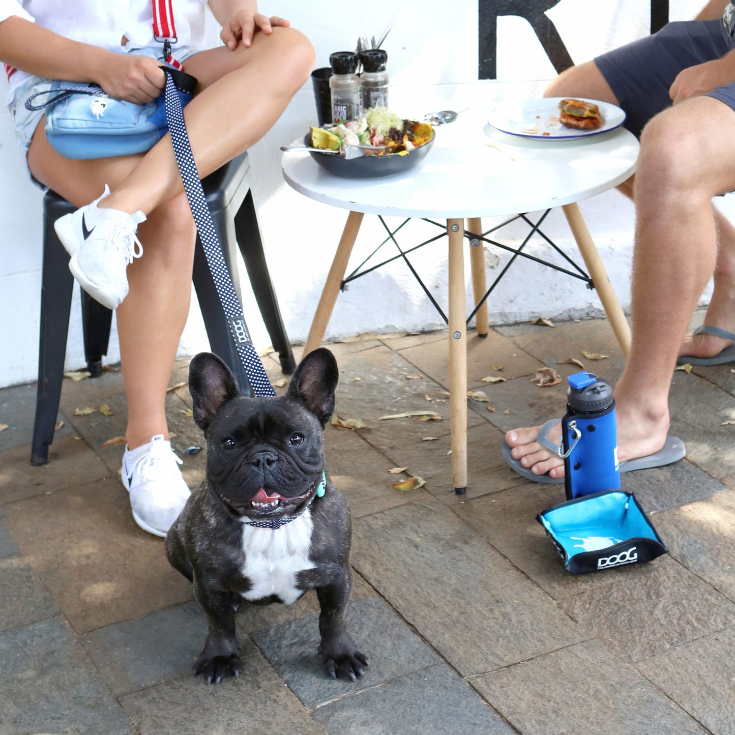 DOOG Neoprene Dog Leash