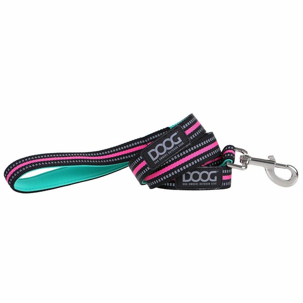 Rin Tin Tin