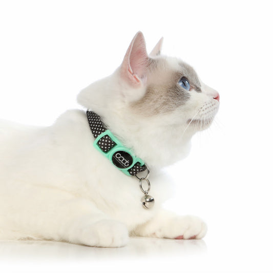 DOOG CAAT Quick-Release Cat Collar