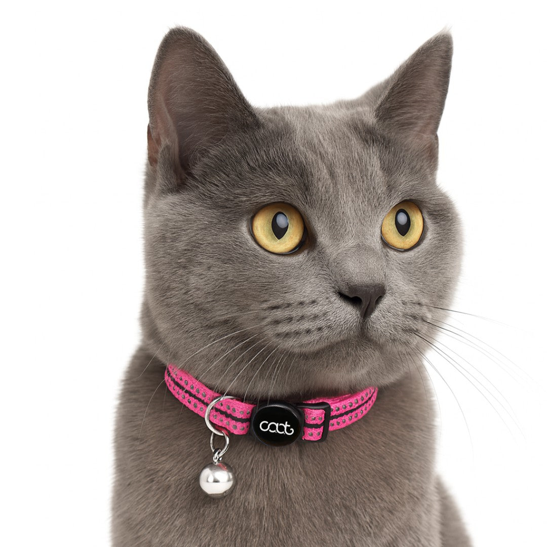 DOOG CAAT Quick-Release Cat Collar