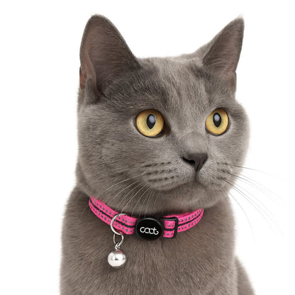 DOOG CAAT Quick-Release Cat Collar