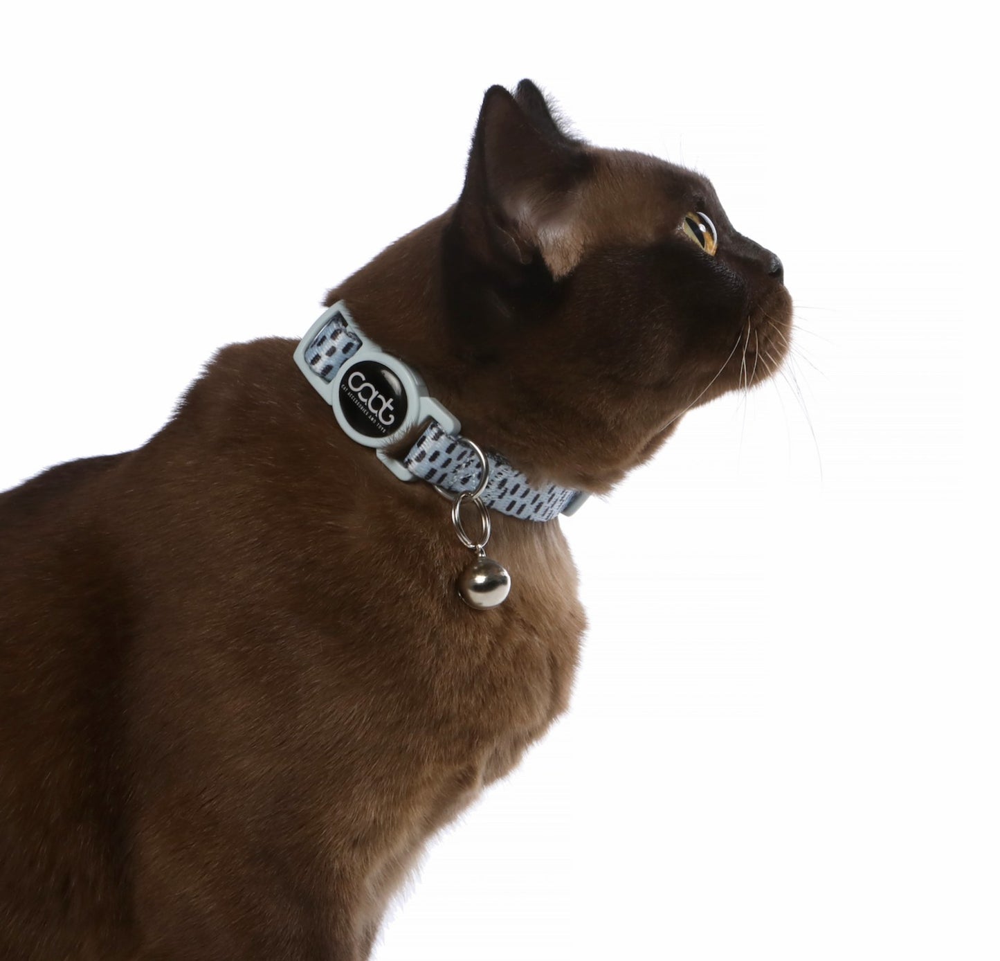 DOOG CAAT Quick-Release Cat Collar